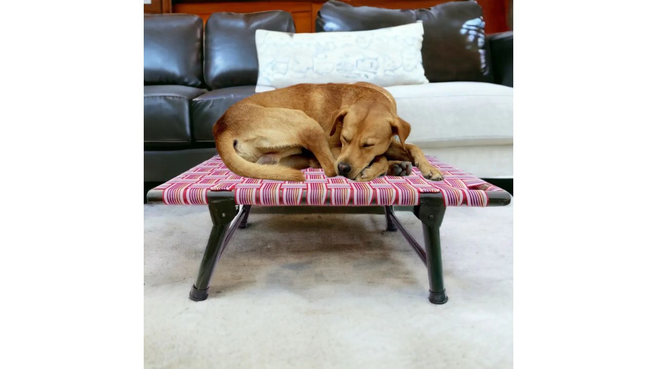 Aauras Dog Pet Bed Leg Fold Strong Quality