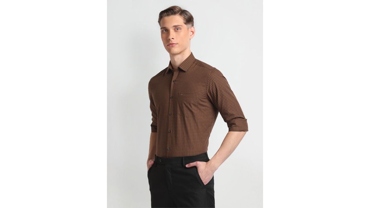 Arrow Slim Fit Micro Checks Checked Pure Cotton Formal Shirt