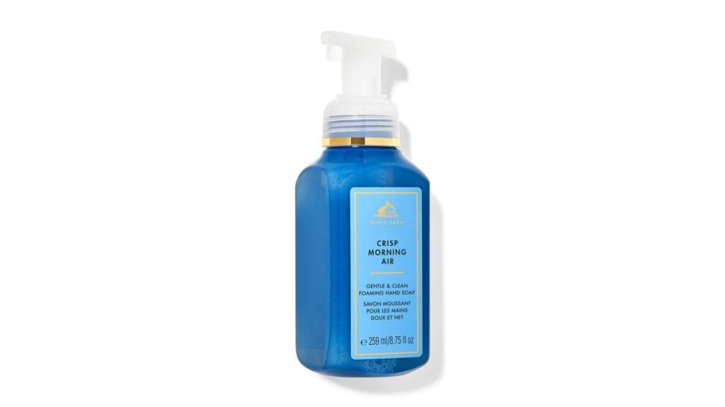Bath & Body Works Crisp Morning Air Gentle & Clean Foaming Hand Soap - 259 ml