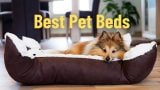 Best Pet Beds