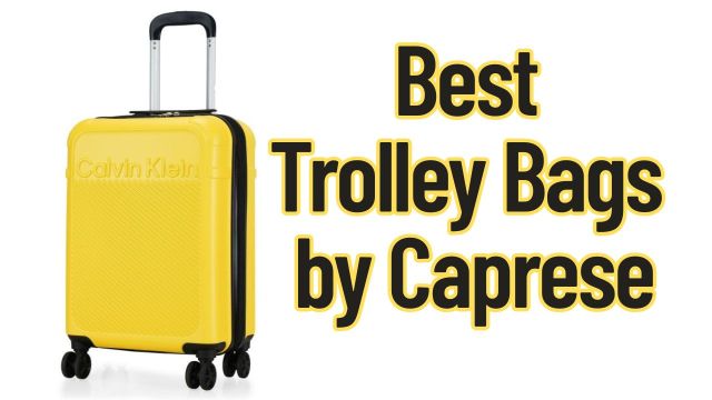 Best Trolley Bags by Caprese