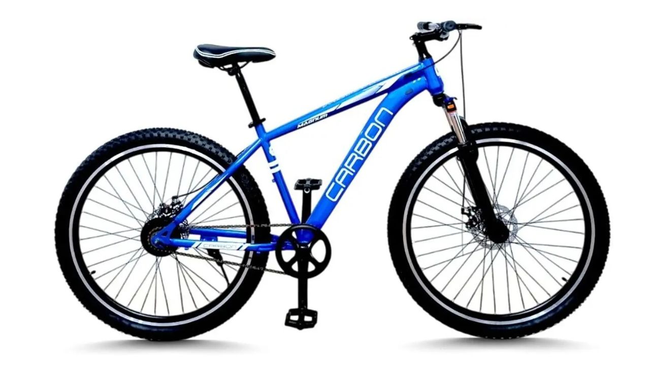 CarbonBike MAGNUM SINGLE SPEED