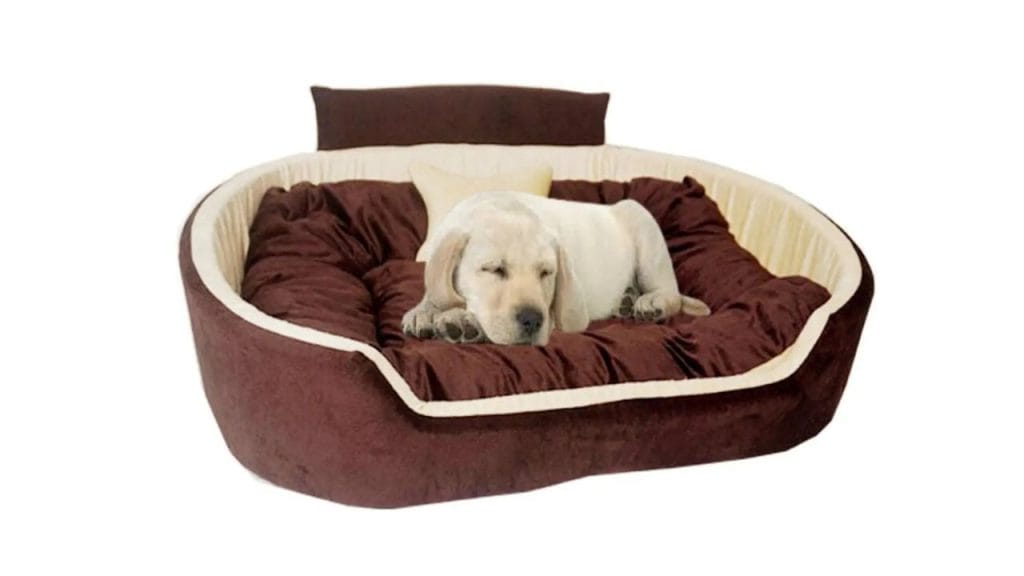 Furry Smile Simple Beds, Sofas & Chair