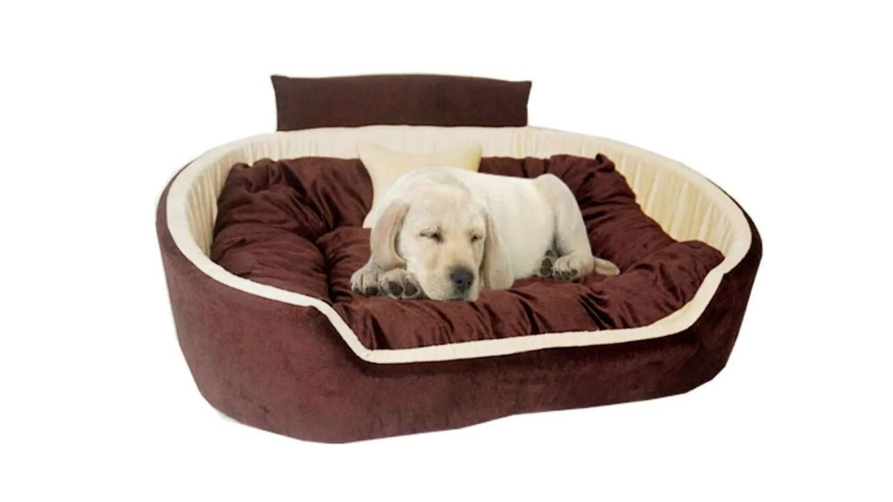 Furry Smile Simple Beds, Sofas & Chair