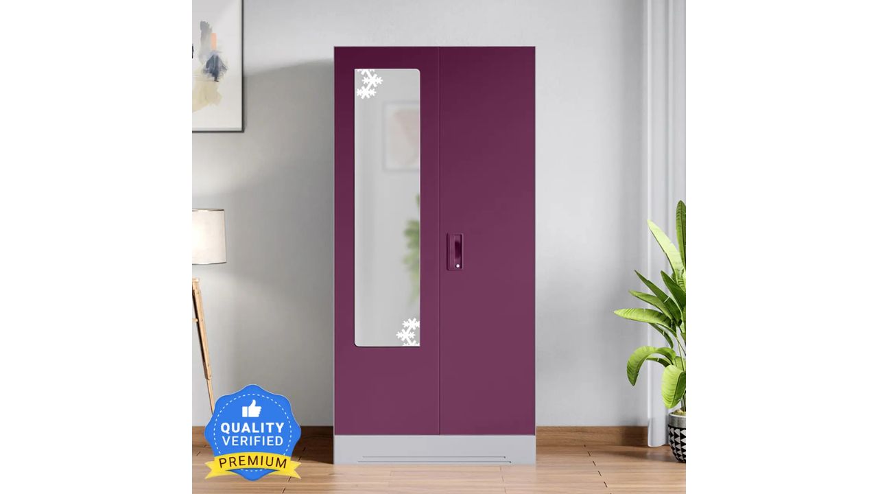 Godrej Interio Slimline 2 Door with Locker and Star Design Mirror