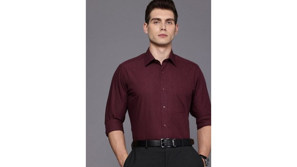Raymond Slim Fit Pure Cotton Formal Shirt