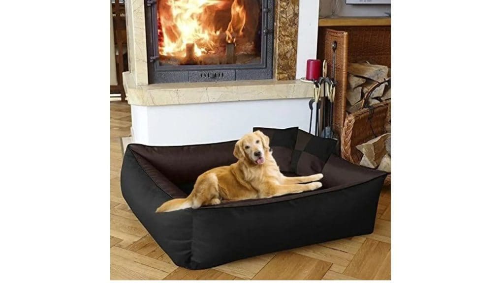 Slatters Be Royal Store Premium Velvet Luxury Dog Sofa