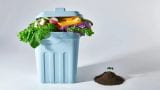 Best Bins for Home