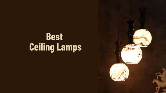 Best Ceiling Lamps