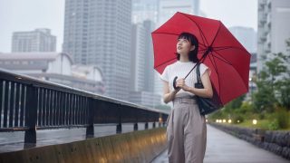 Best Functional Umbrellas