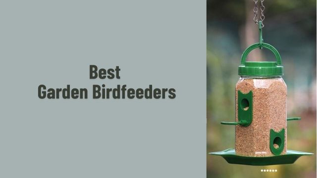Best Garden Birdfeeders