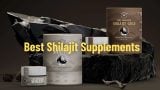 Best Shilajit Supplements