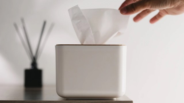 Best Tissue Holders to Consider