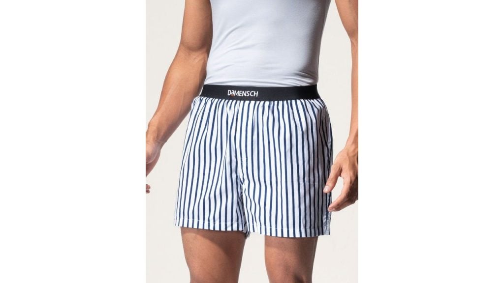 DAMENSCH Men Striped White Ultra-Light Cotton Regular Fit Inner Boxer
