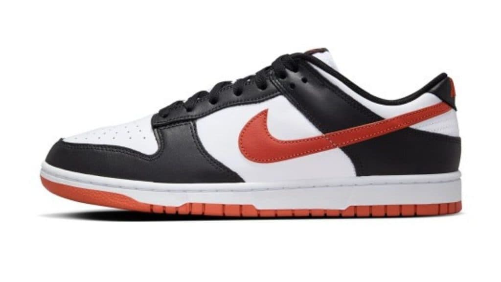 Nike Dunk Low Retro Men's Shoes