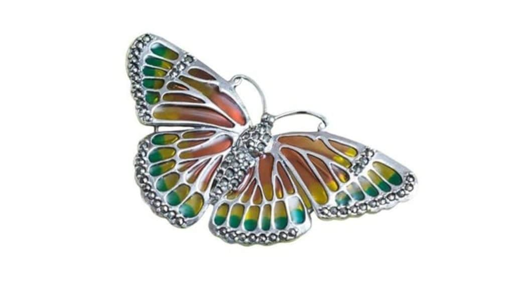 Raajraani Women Silver-Plated Silver Brooch