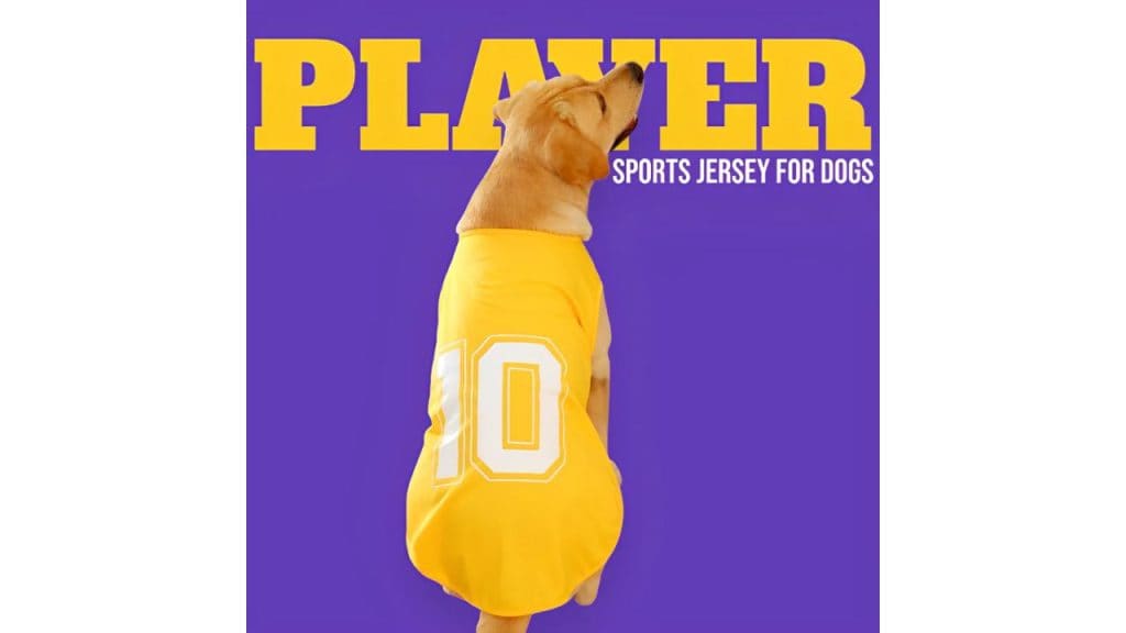 Talking Dog Club Player Ltd Edition Sports Jersey for Dogs (Yellow)