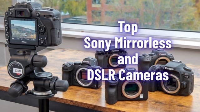 Top options on Sony mirrorless and DSLR cameras to check out