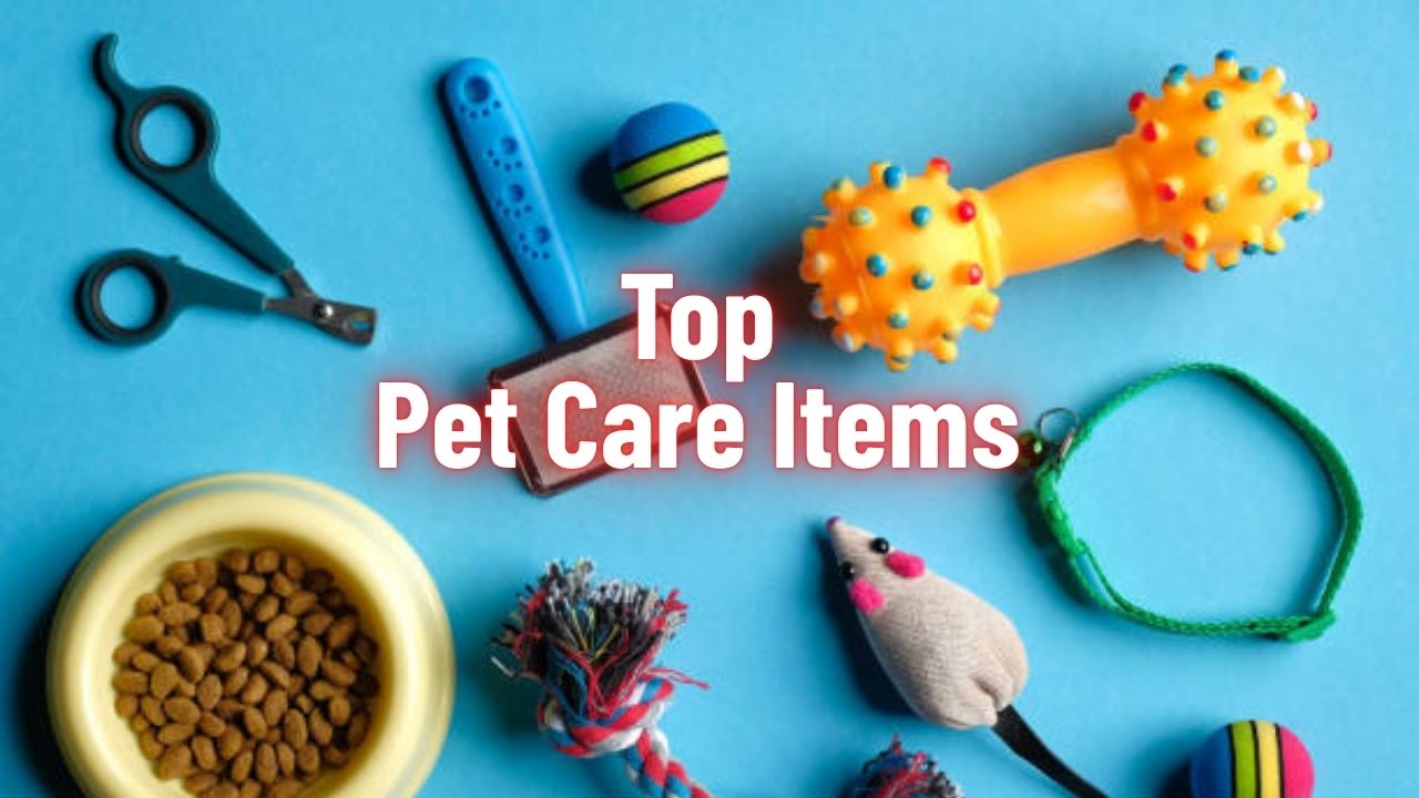 Top pet care items your dogs will love