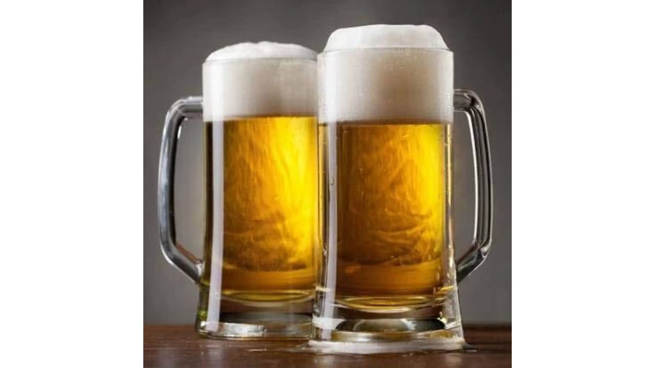 VM PARTNER Premium Classic Solid Beers with Handle Beer Mug