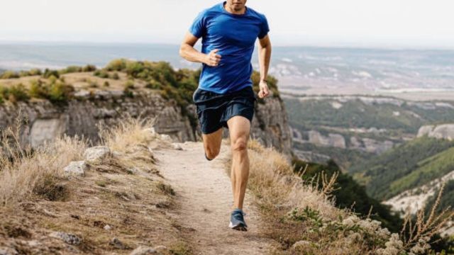 Best Picks for Puma Sporting Shorts