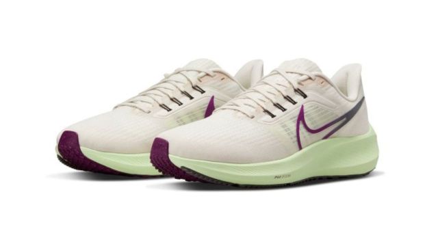 Nike Men Pegasus 39 Road Running Shoes