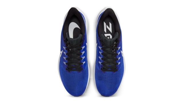 Nike Pegasus 39 Men's Lace-Ups Road Running Shoes