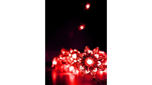Meneon 36 LEDs 8.26 m Red Flickering Flower Lights