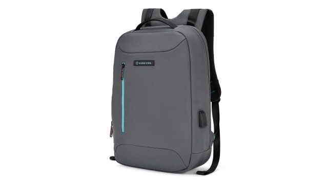 NASHER MILES 29 L Laptop Backpack - Staten