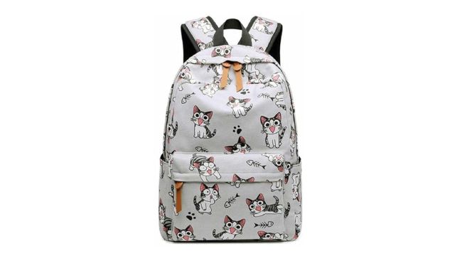 Standard School Backpack