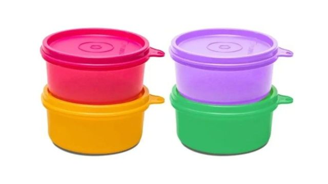 TUPPERWARE Tropical Twins Lunch Box